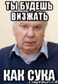 ТЫ БУДЕШЬ ВИЗЖАТЬ КАК СУКА