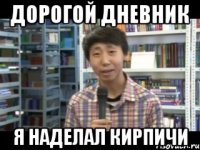 Дорогой дневник я наделал кирпичи