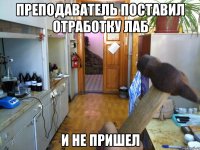ПРЕПОДАВАТЕЛЬ ПОСТАВИЛ ОТРАБОТКУ ЛАБ И НЕ ПРИШЕЛ