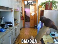 НЕТУ ВЫХОДА