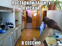 поставили защиту курсача в сессию