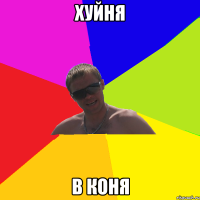 Хуйня В коня
