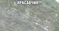 Красавчик!!! 