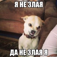 я не злая ДА НЕ ЗЛАЯ Я
