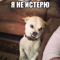 я не истерю 