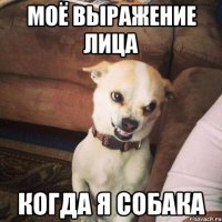Моё выражение лица Когда я собака