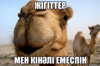 жігіттер мен кінәлі емеспін