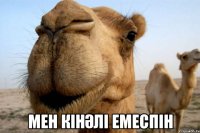  мен кінәлі емеспін