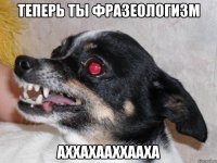 ТЕПЕРЬ ТЫ ФРАЗЕОЛОГИЗМ АХХАХААХХААХА