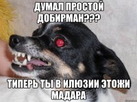 ДУМАЛ ПРОСТОЙ ДОБИРМАН??? ТИПЕРЬ ТЫ В ИЛЮЗИИ ЭТОЖИ МАДАРА