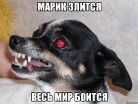 Марик злится Весь мир боится