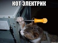 кот электрик 