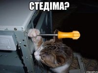 Стедiма? 