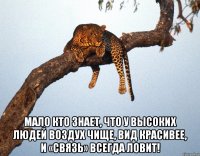  Мало кто знает, что у высоких людей воздух чище, вид красивее, и «связь» всегда ловит!
