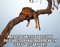  Мало кто знает,что у высоких людей воздух чище,вид красивее,и "связь" всегда ловит!