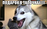 Подарок в тапочках))) 