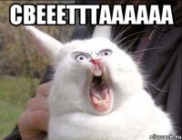 СВЕЕЕТТТАААААА 