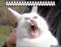ааааааааааааааааааа 