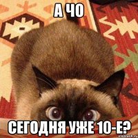 А ЧО сегодня уже 10-е?