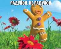 Радуйся, не радуйся 