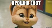 крошка енот 