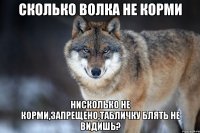 Сколько волка не корми НИСКОЛЬКО НЕ КОРМИ,ЗАПРЕЩЕНО,ТАБЛИЧКУ БЛЯТЬ НЕ ВИДИШЬ?