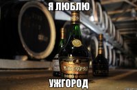 я люблю ужгород