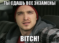 ты сдашь все экзамены BITCH!