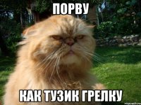 Порву Как тузик грелку