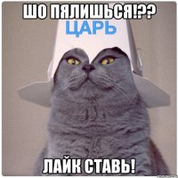 ШО ПЯЛИШЬСЯ!?? ЛАЙК СТАВЬ!