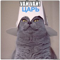 Уай Уай! 
