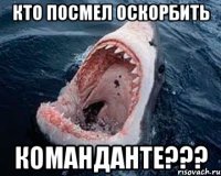 Кто посмел оскорбить Команданте???