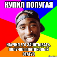 Купил попугая Научил его зачитывать, получил платиновый статус