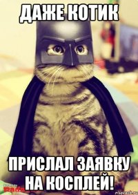 Даже котик Прислал заявку на косплей!