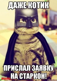 Даже котик прислал заявку на Старкон!