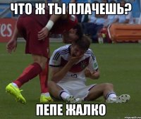 Что ж ты плачешь? Пепе жалко