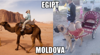 egipt moldova