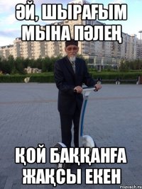 Әй, шырағым мына пәлең қой баққанға жақсы екен