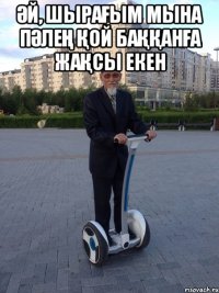 Әй, шырағым мына пәлең қой баққанға жақсы екен 