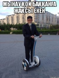 мынау қой баққанға жақсы екен 