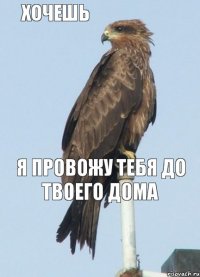 хочешь я провожу тебя до твоего дома