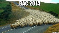 BAC 2014 
