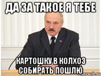 да за такое я тебе картошку в колхоз собирать пошлю