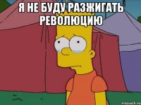 Я не буду разжигать революцию 