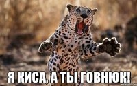  Я киса, а ты говнюк!
