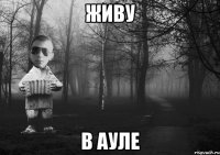 Живу В ауле