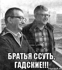  братья ссуть, гадские!!!