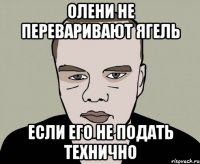 олени не переваривают ягель если его не подать технично