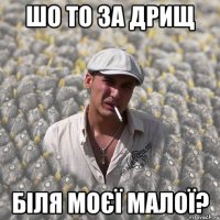 ШО ТО ЗА ДРИЩ БІЛЯ МОЄЇ МАЛОЇ?