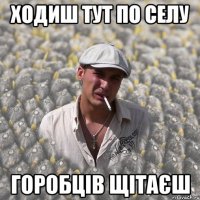 ХОДИШ ТУТ ПО СЕЛУ ГОРОБЦІВ ЩІТАЄШ